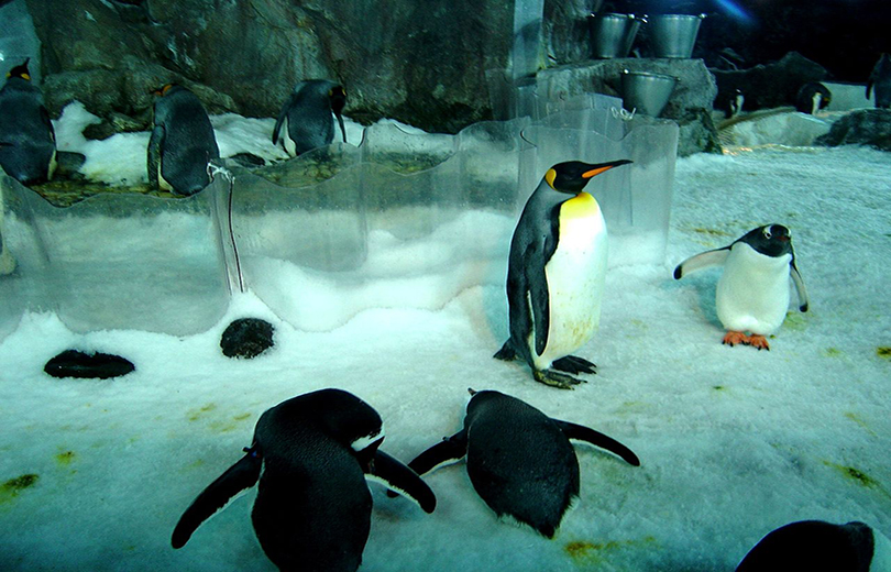 NZ-Attractions Photo