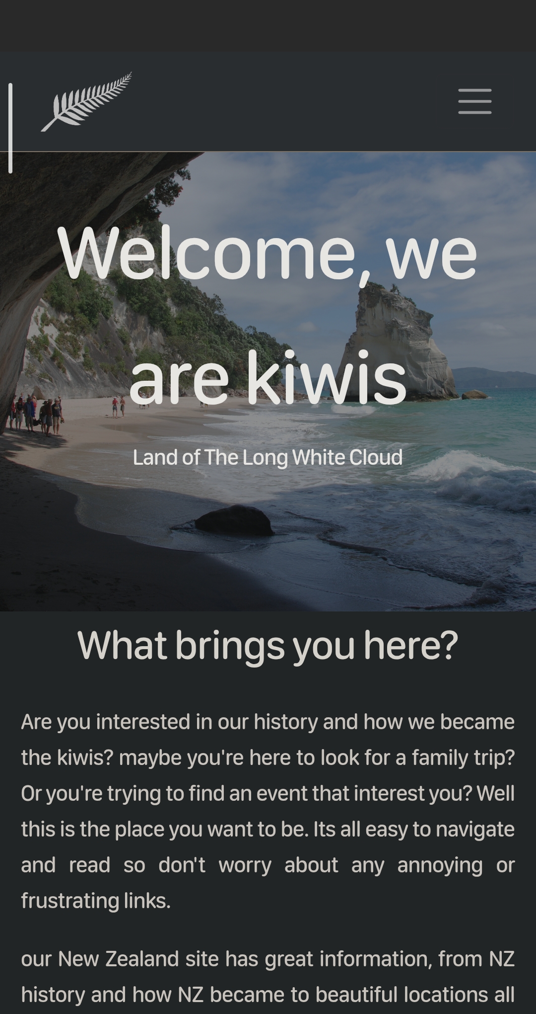 New Zealand Website Screenshot
